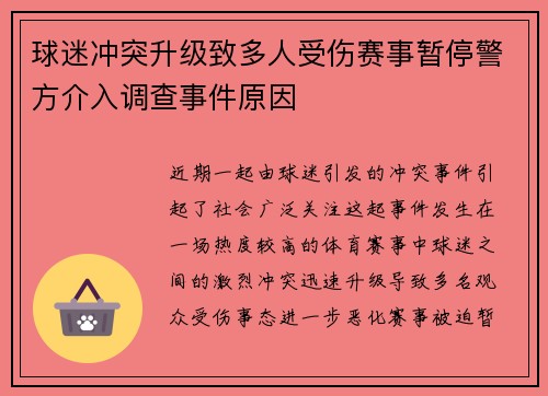 球迷冲突升级致多人受伤赛事暂停警方介入调查事件原因